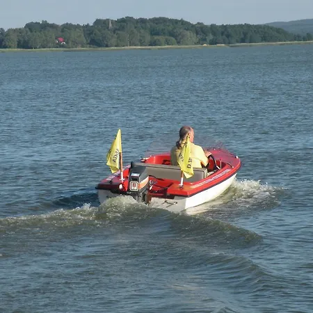 Alga W Lazach Pokoje I Habitación en casa particular