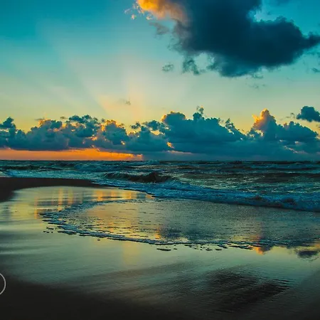 Alga W Lazach Pokoje I Habitación en casa particular *