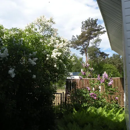 Alga W Lazach Pokoje I