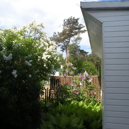 Alga W Lazach Pokoje I * Łazy